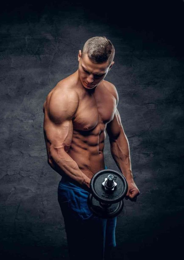 Fitness SEO Services