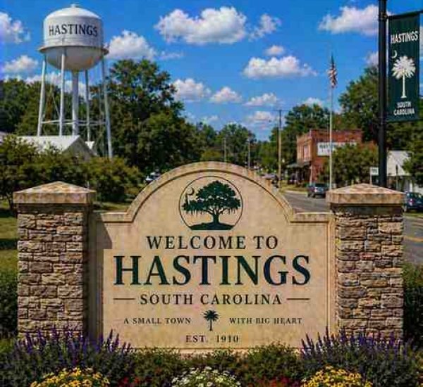 SEO Services in Hastings